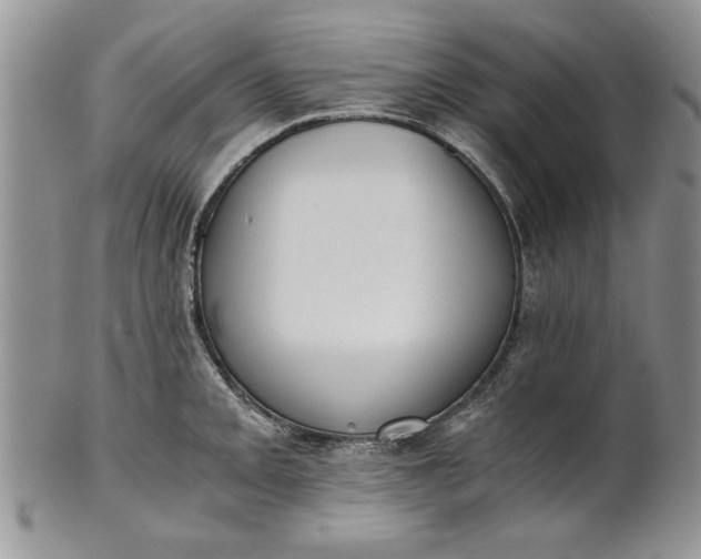 X0000101951093200808011040