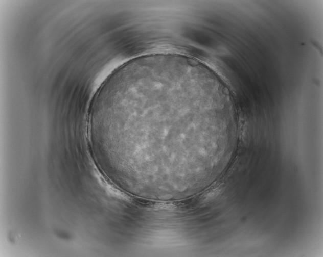 X0000101951094200808011040