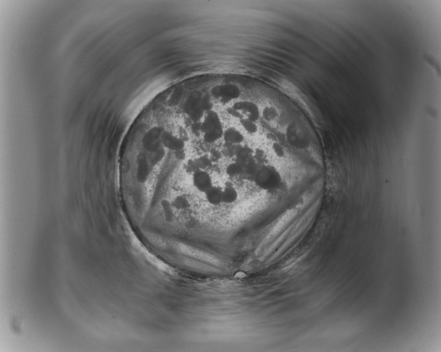 X0000101951095200808011040