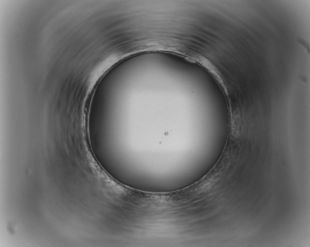 X0000101951096200808011040