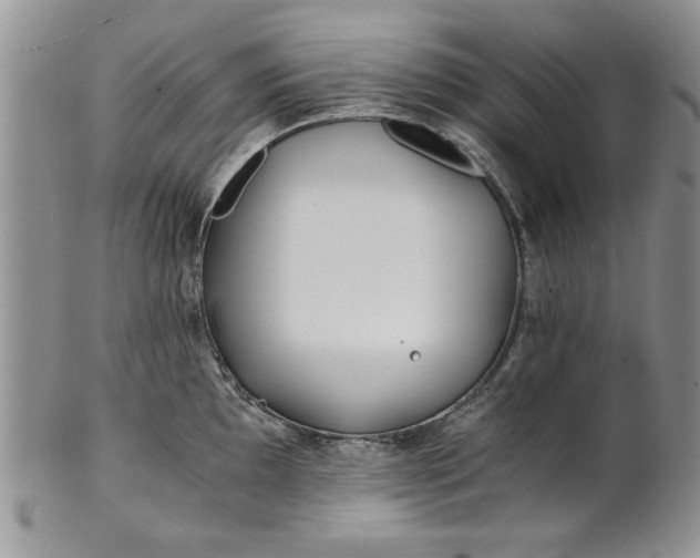 X0000101951097200808011040