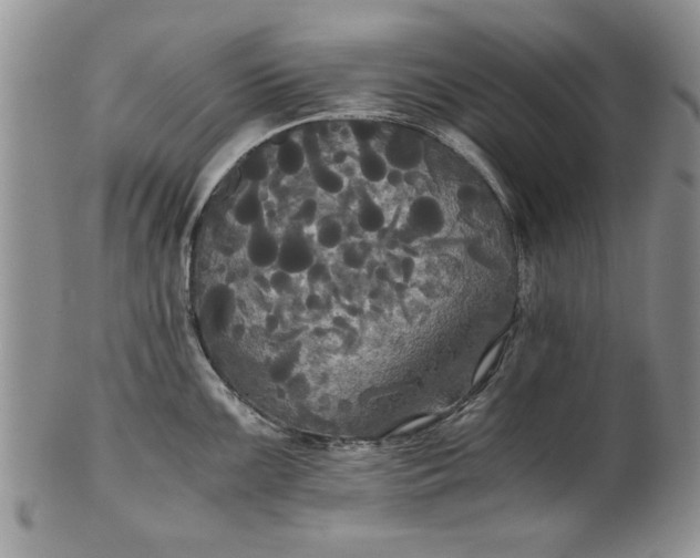 X0000101951099200808011040