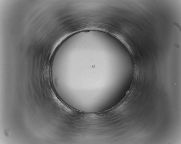 X0000101951100200808011040