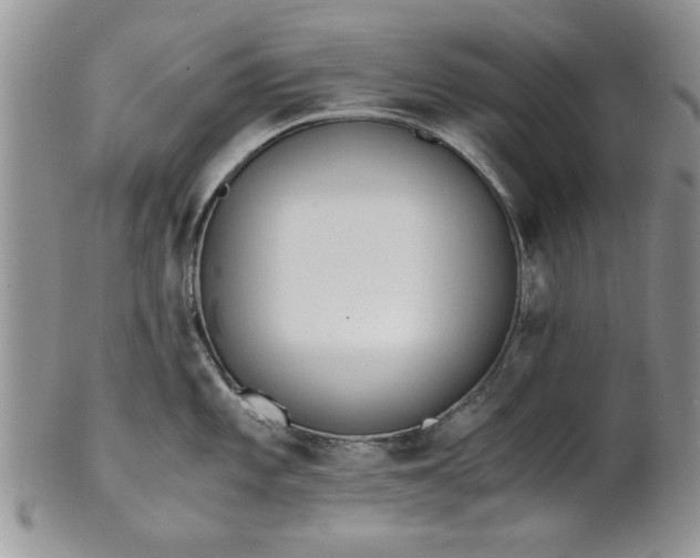 X0000101951101200808011040