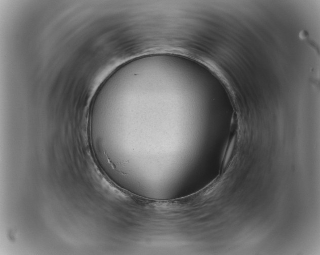 X0000101951102200808011040