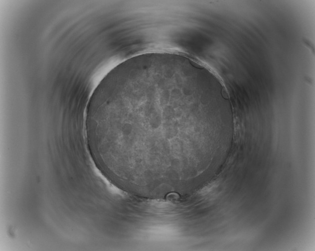 X0000101951103200808011040