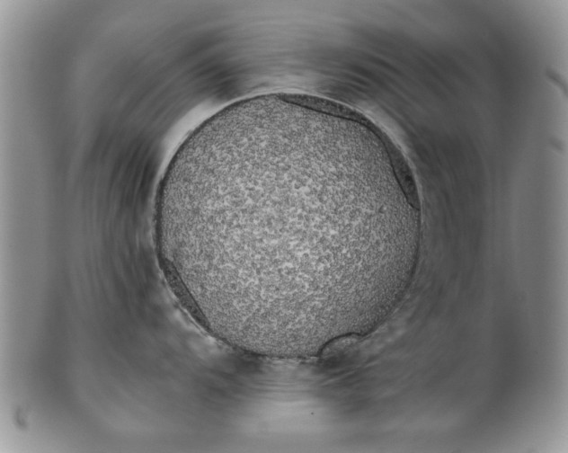 X0000101951104200808011040