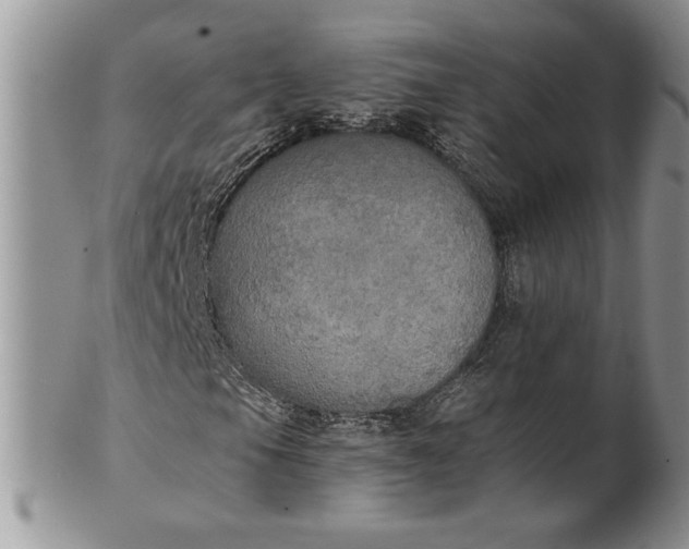 X0000101951105200808011039