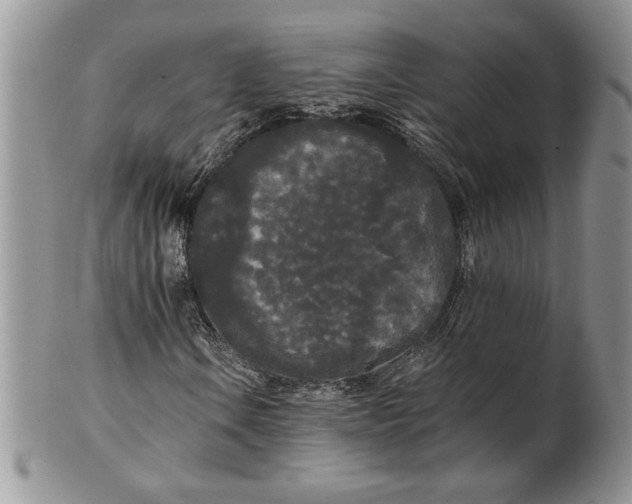 X0000101951106200808011039