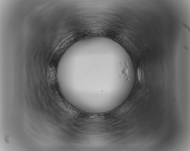 X0000101951107200808011039