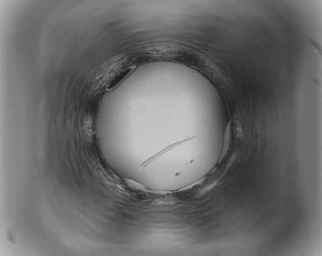 X0000101951108200808011039