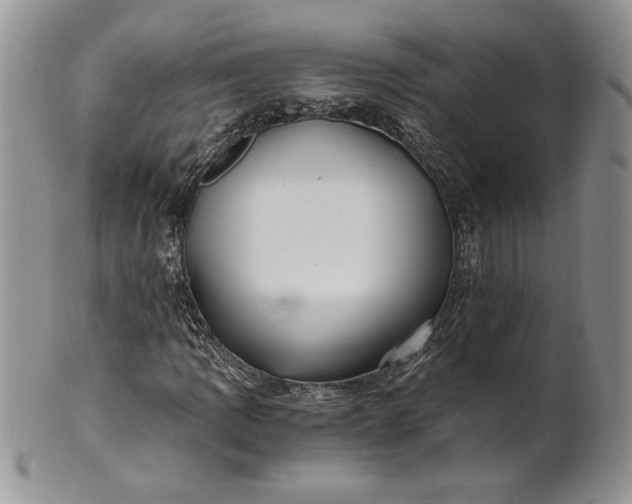 X0000101951109200808011039