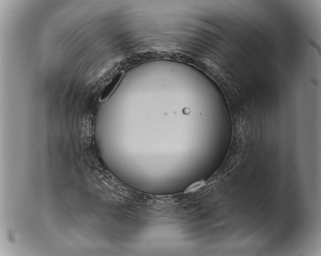 X0000101951110200808011039