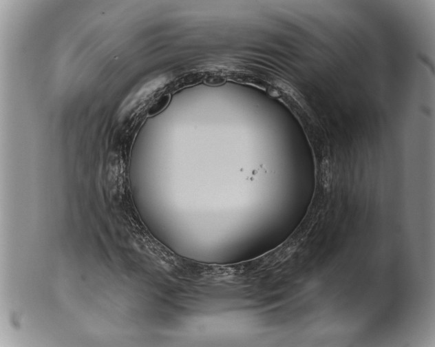 X0000101951111200808011039