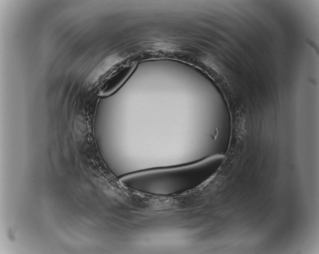 X0000101951112200808011039