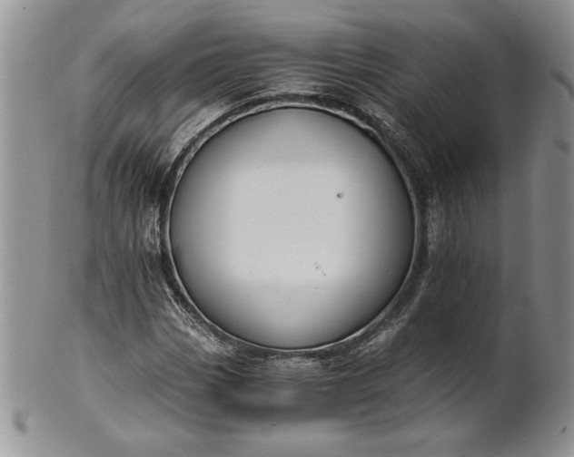 X0000101951113200808011039