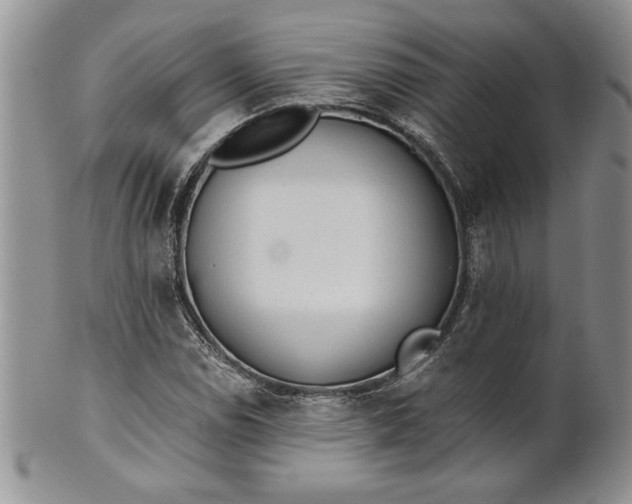 X0000101951114200808011039