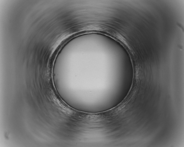 X0000101951116200808011039