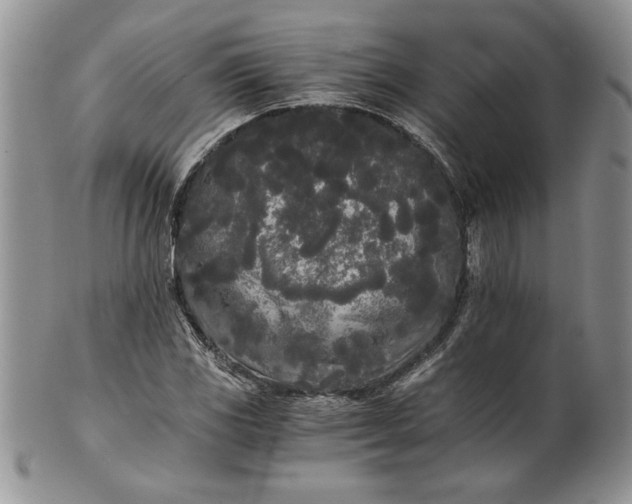 X0000101951117200808011039