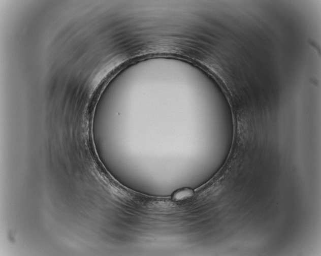 X0000101951119200808011039