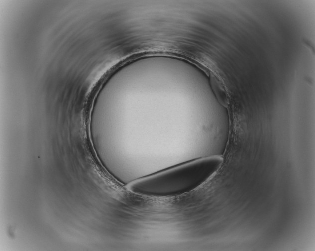 X0000101951120200808011039