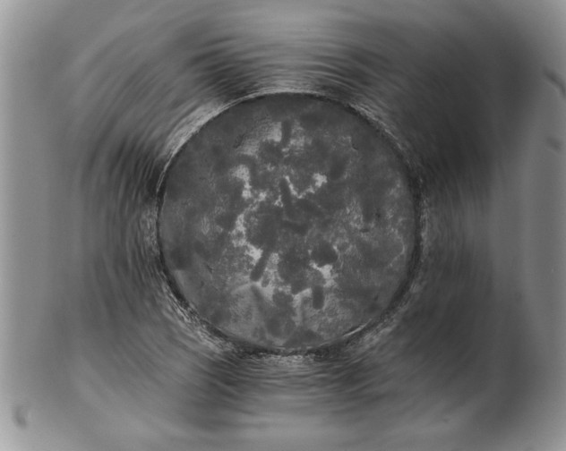 X0000101951121200808011039