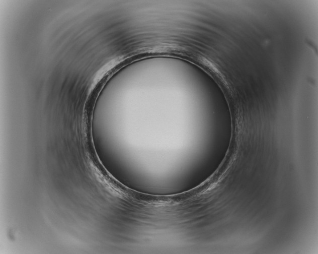 X0000101951122200808011039