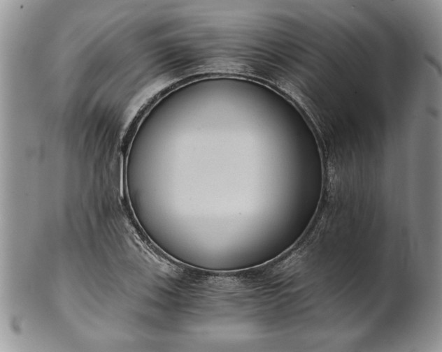 X0000101951123200808011039