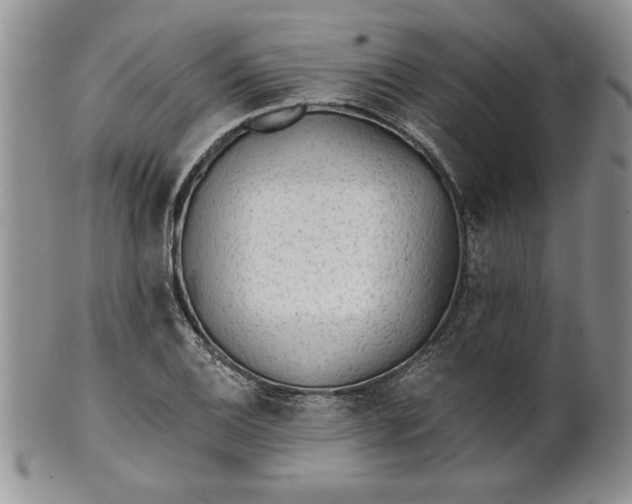 X0000101951124200808011040