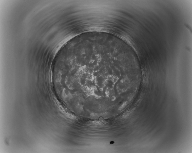 X0000101951125200808011040