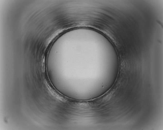 X0000101951126200808011040