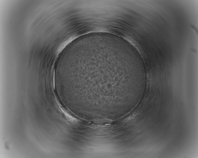 X0000101951127200808011040