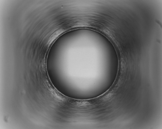 X0000101951129200808011040