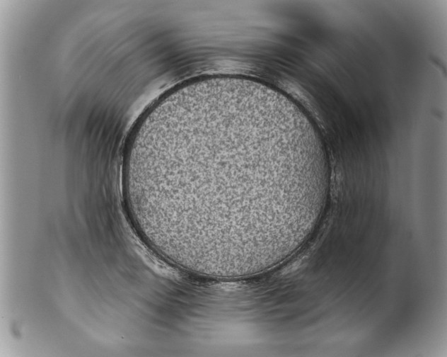 X0000101951130200808011040