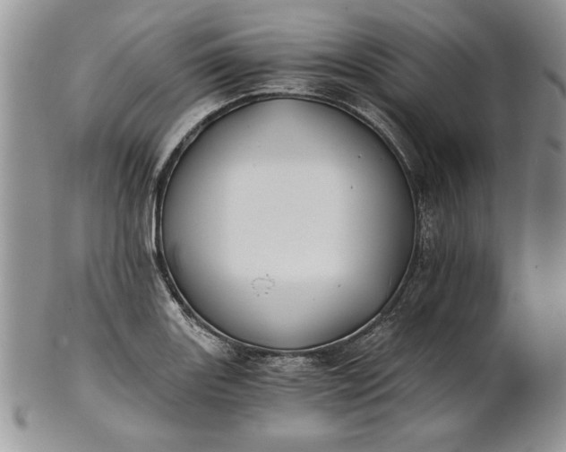 X0000101951131200808011040