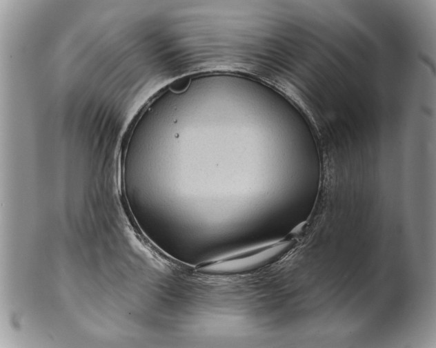 X0000101951132200808011040