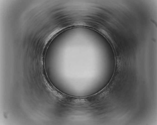 X0000101951133200808011040