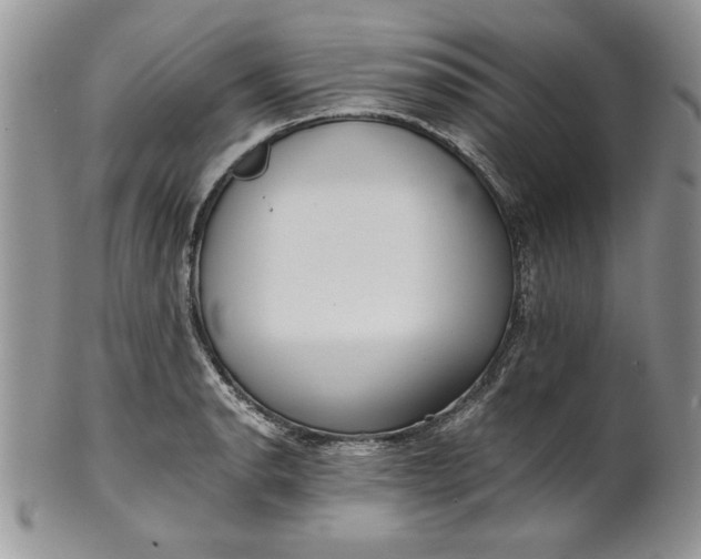 X0000101951134200808011040