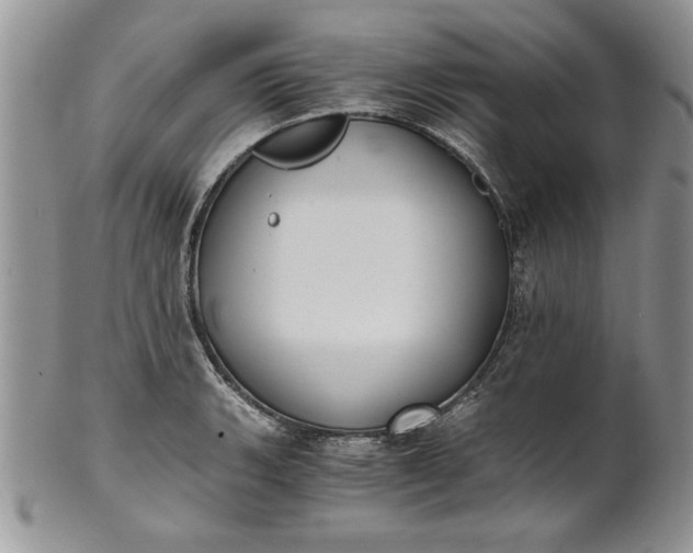 X0000101951135200808011040