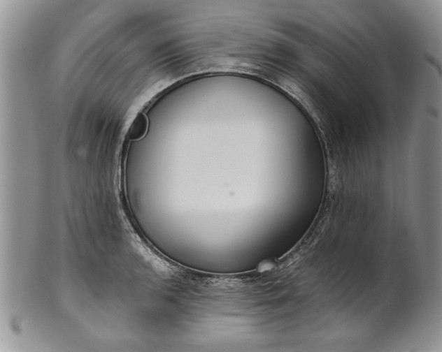 X0000101951136200808011040