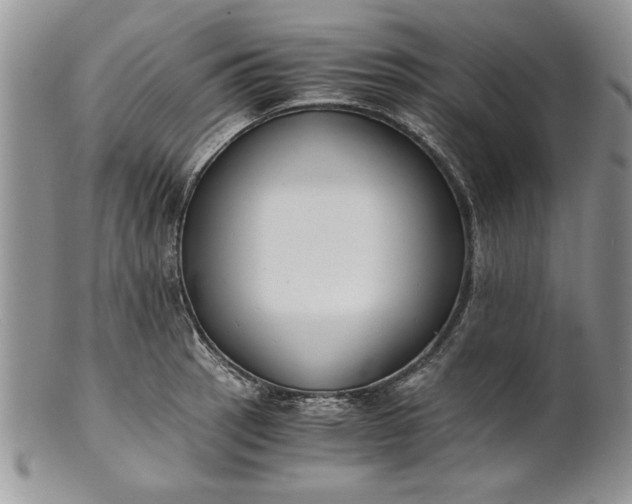 X0000101951137200808011040