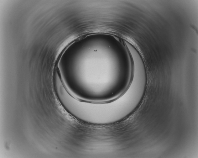 X0000101951138200808011040