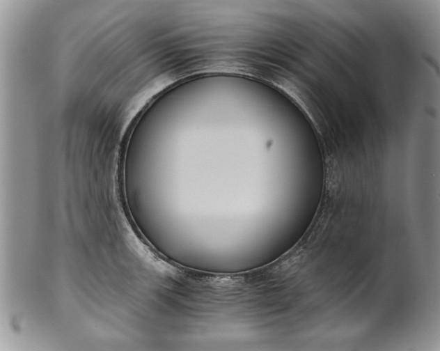 X0000101951139200808011040