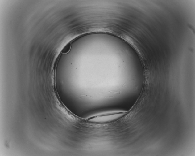 X0000101951140200808011040