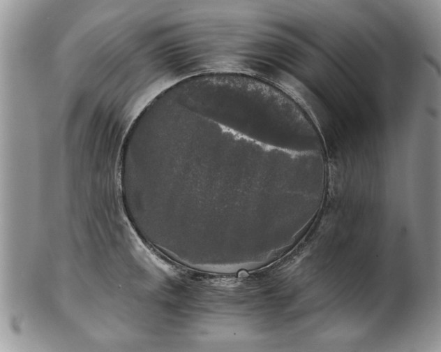 X0000101951141200808011040