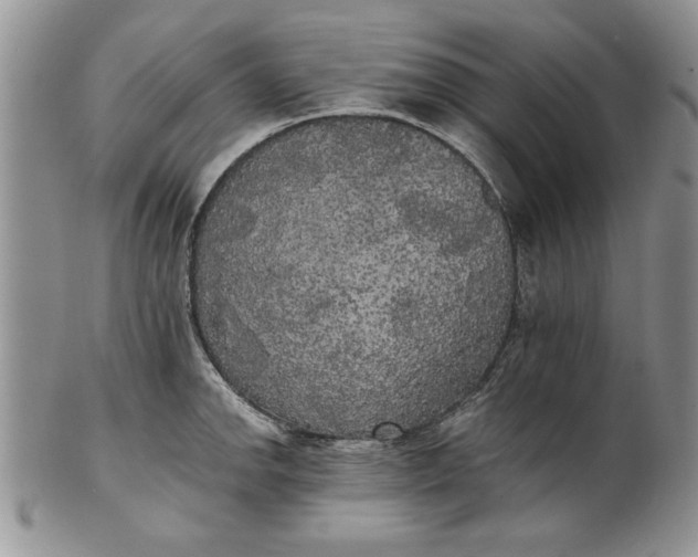 X0000101951142200808011040