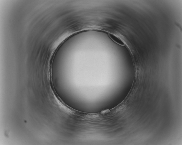 X0000101951143200808011040