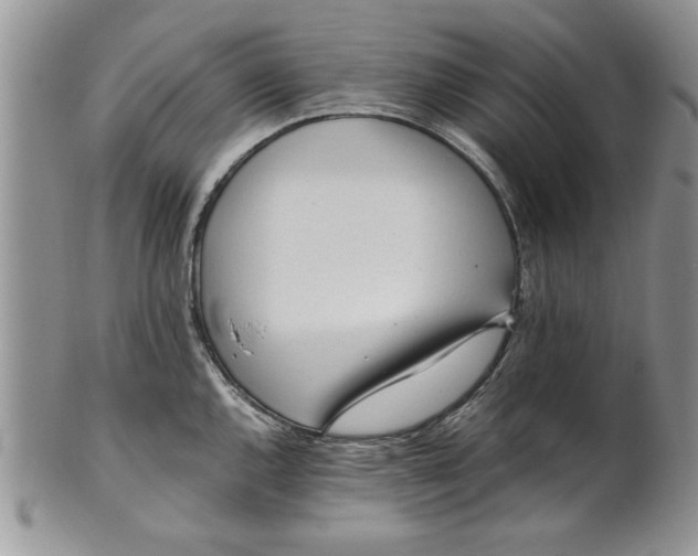 X0000101951144200808011040