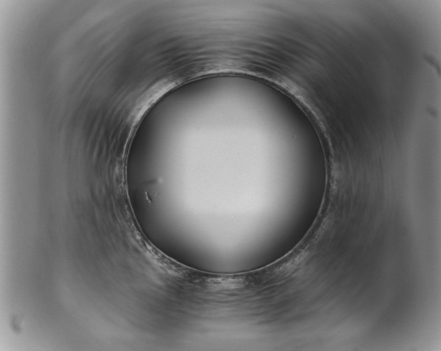 X0000101951145200808011040