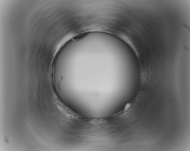 X0000101951146200808011040